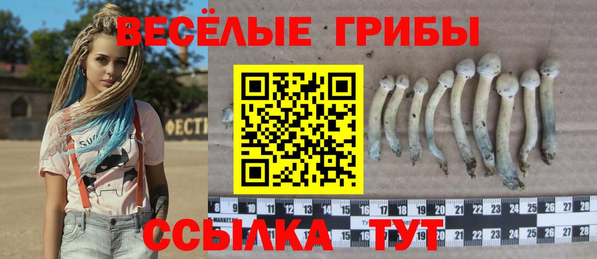 Грязи  Псилоцибиновые грибы мухоморы  Вход с VPN 